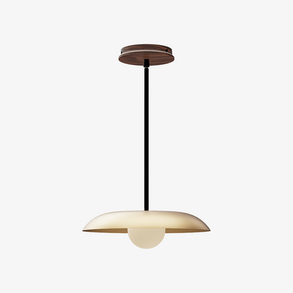 Eiralys Industrial Metal Dome Pendant Light