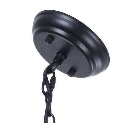 Richardson Industrial Black Wrought Iron Cage Pendant Light
