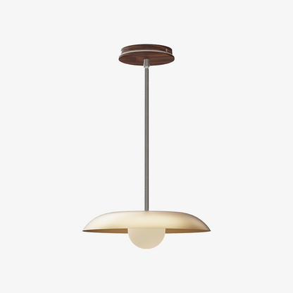 Eiralys Industrial Metal Dome Pendant Light