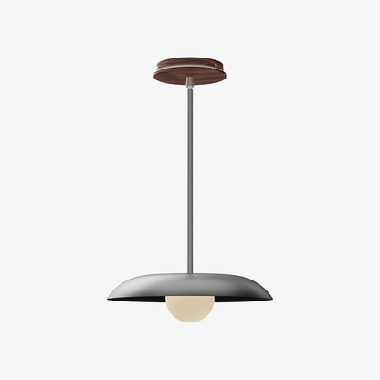 Eiralys Industrial Metal Dome Pendant Light