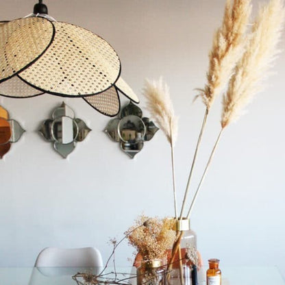 Atticus Screen Cannage Rattan Pendant Light