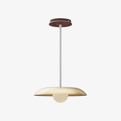 Eiralys Industrial Metal Dome Pendant Light