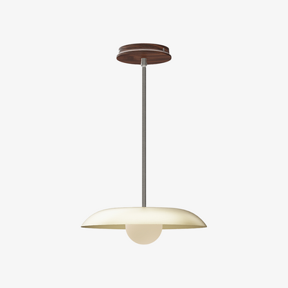 Eiralys Industrial Metal Dome Pendant Light