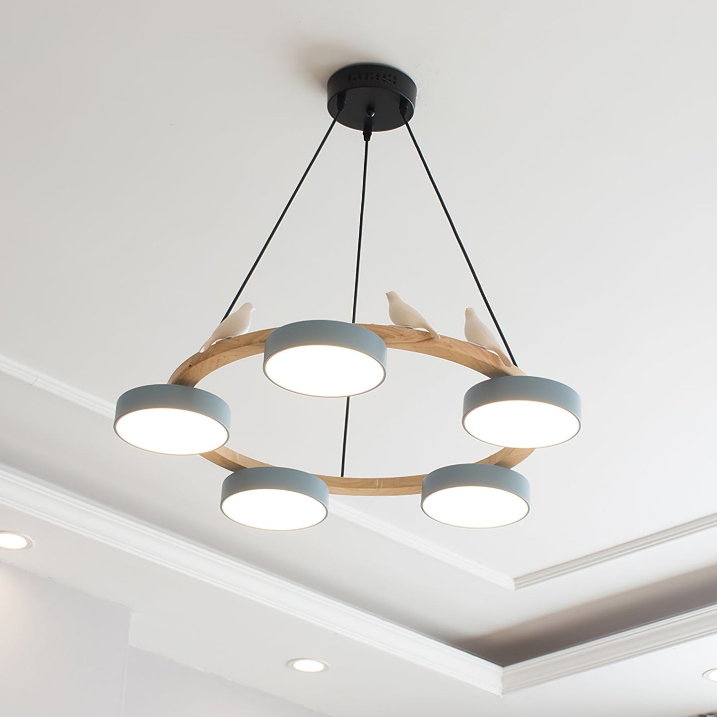 Myrithor Macarons Bird Woon Round Chandelier