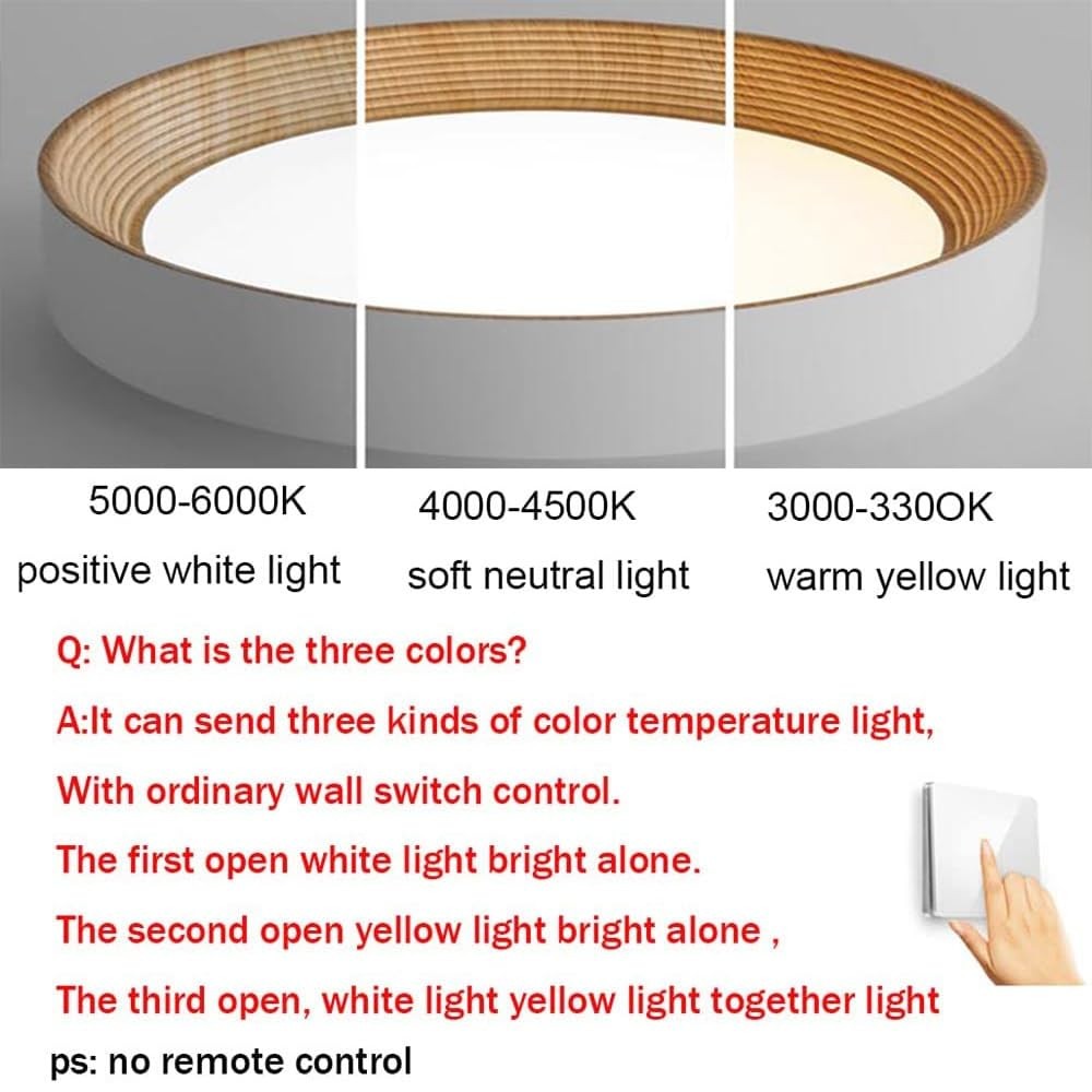 Calixte Minimalist LED Round Metal Ceiling Light