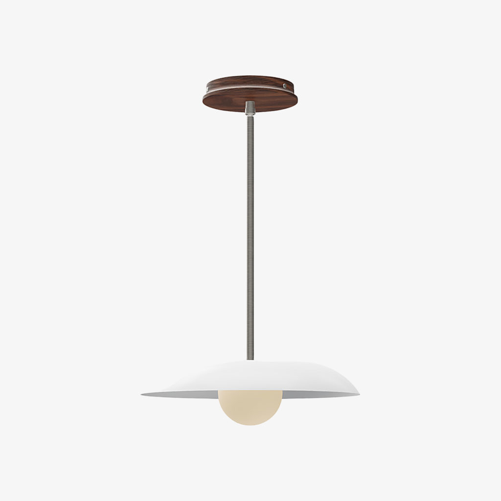 Eiralys Industrial Metal Dome Pendant Light