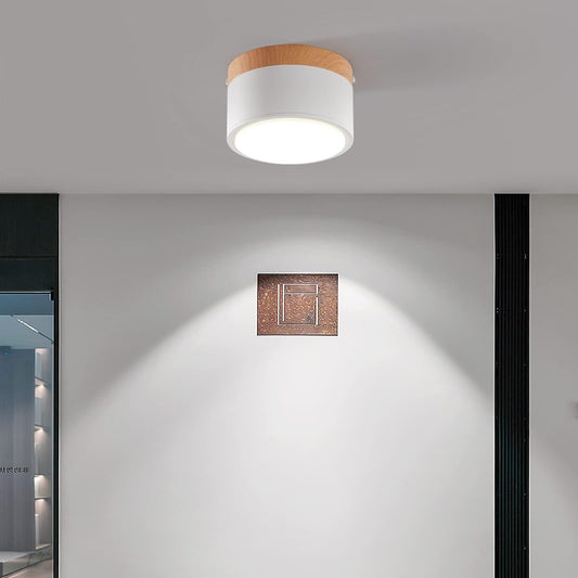 Cyrion Nordic Cylinder LED Flush Mount Ceiling Light