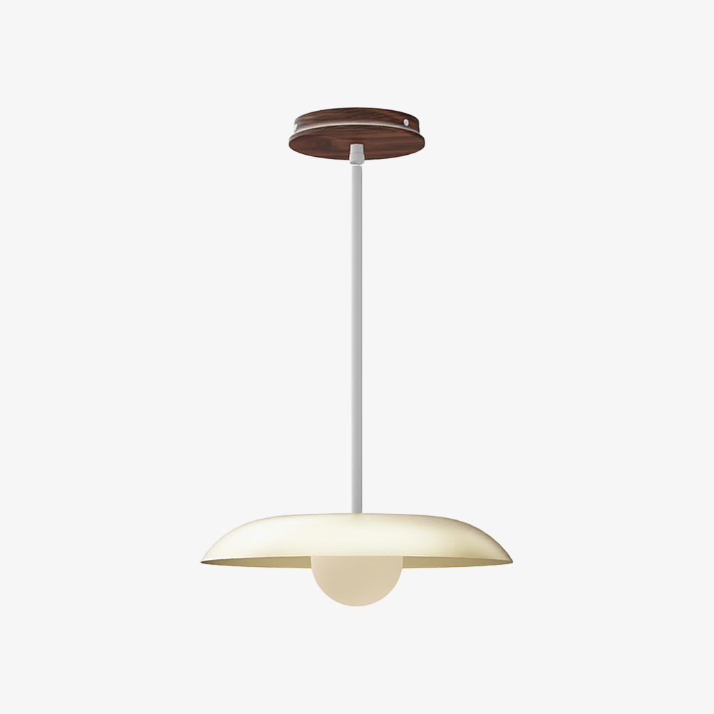 Eiralys Industrial Metal Dome Pendant Light