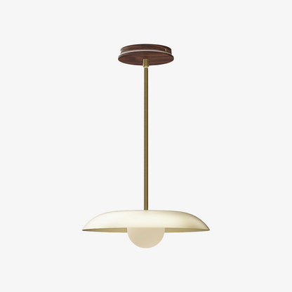 Eiralys Industrial Metal Dome Pendant Light