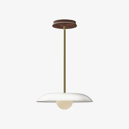 Eiralys Industrial Metal Dome Pendant Light