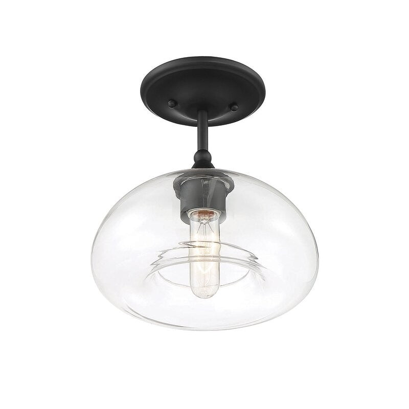 Thyran Farmhouse Small Globe Clear Glass Flush Mount Ceiling Light