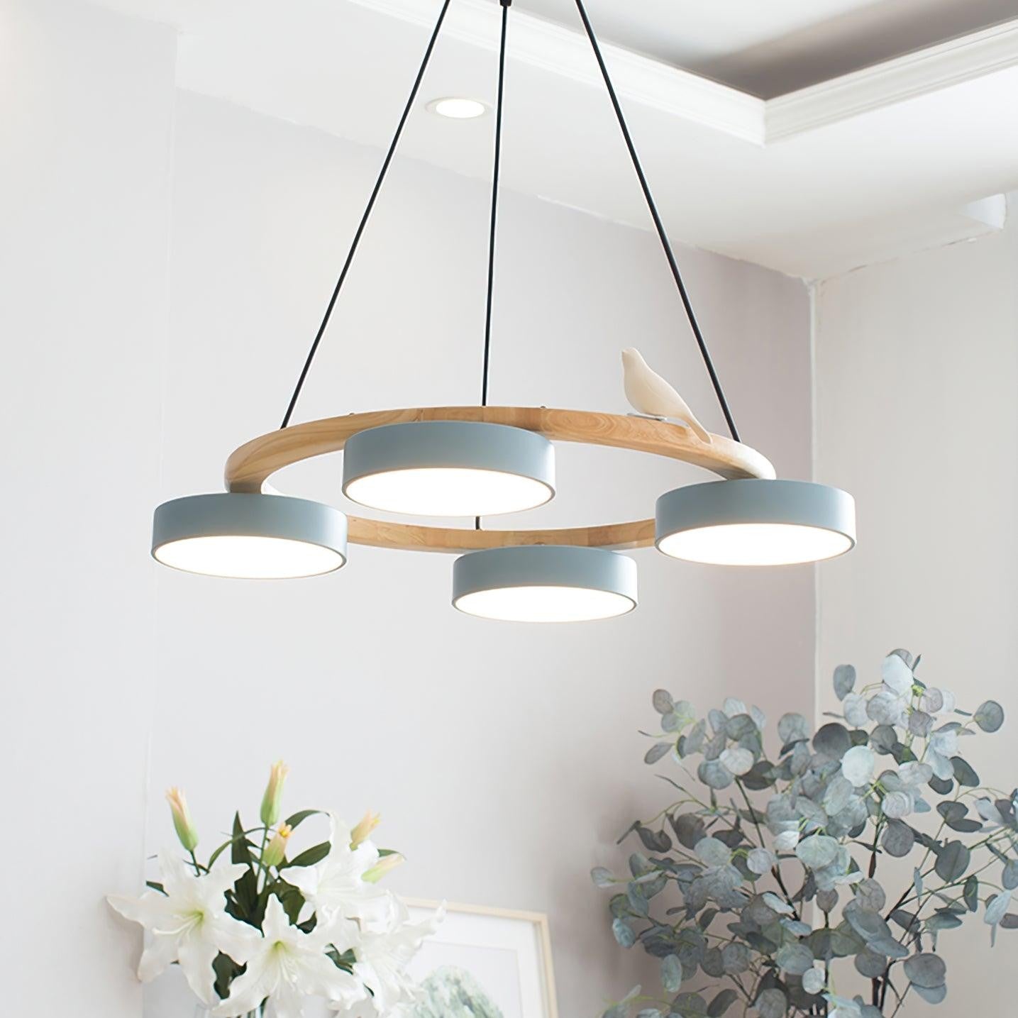 Myrithor Macarons Bird Woon Round Chandelier