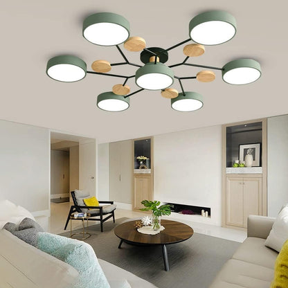 Phelith Scandinavian Round Molecule Branch Led Ceiling Light