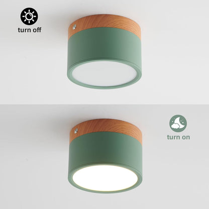 Cyrion Nordic Cylinder LED Flush Mount Ceiling Light