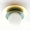 Ilincic Modern Morandi Globe Brass Ceiling Light