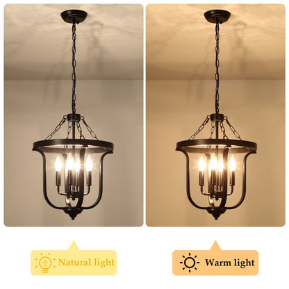 Richardson Industrial Black Wrought Iron Cage Pendant Light
