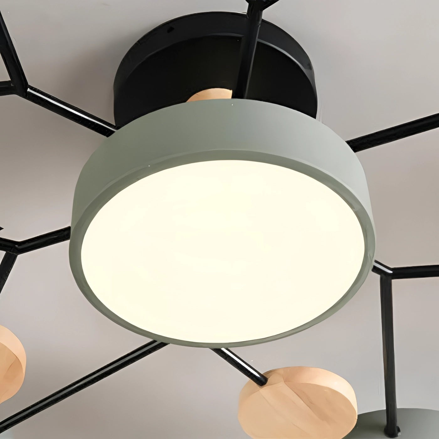 Phelith Scandinavian Round Molecule Branch Led Ceiling Light