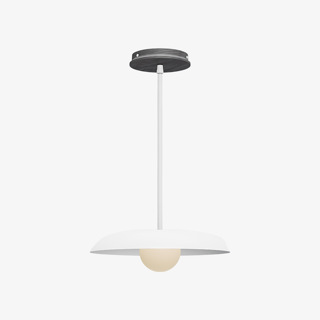 Eiralys Industrial Metal Dome Pendant Light