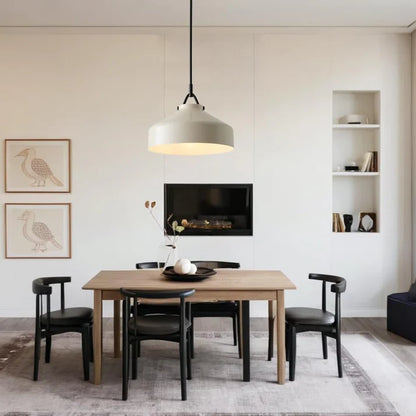 Aevric Nordic White Glass Pendant Light