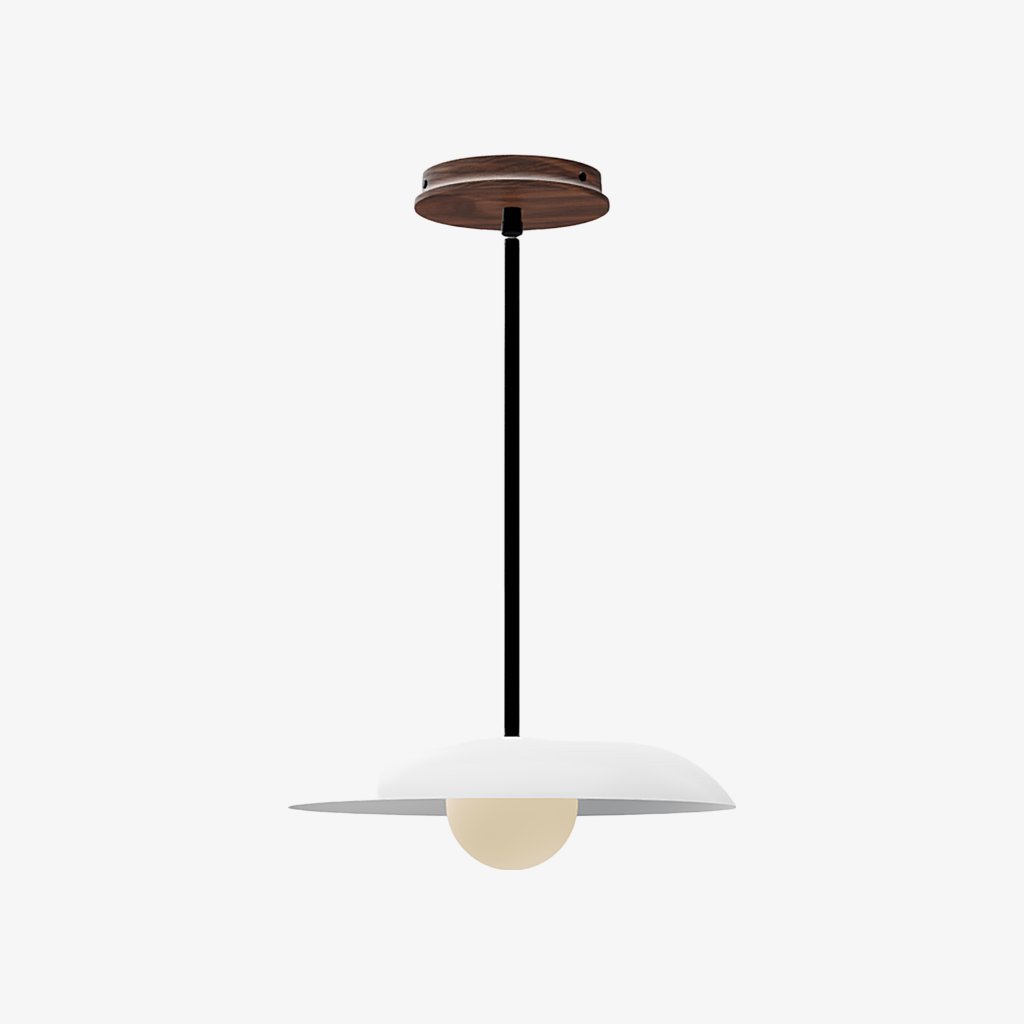 Eiralys Industrial Metal Dome Pendant Light