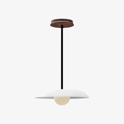 Eiralys Industrial Metal Dome Pendant Light