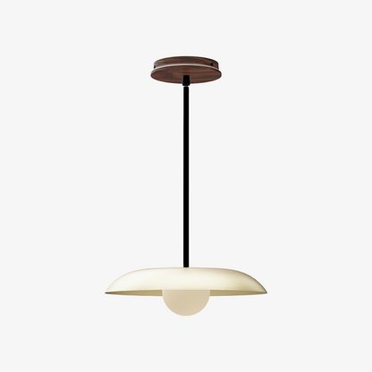 Eiralys Industrial Metal Dome Pendant Light