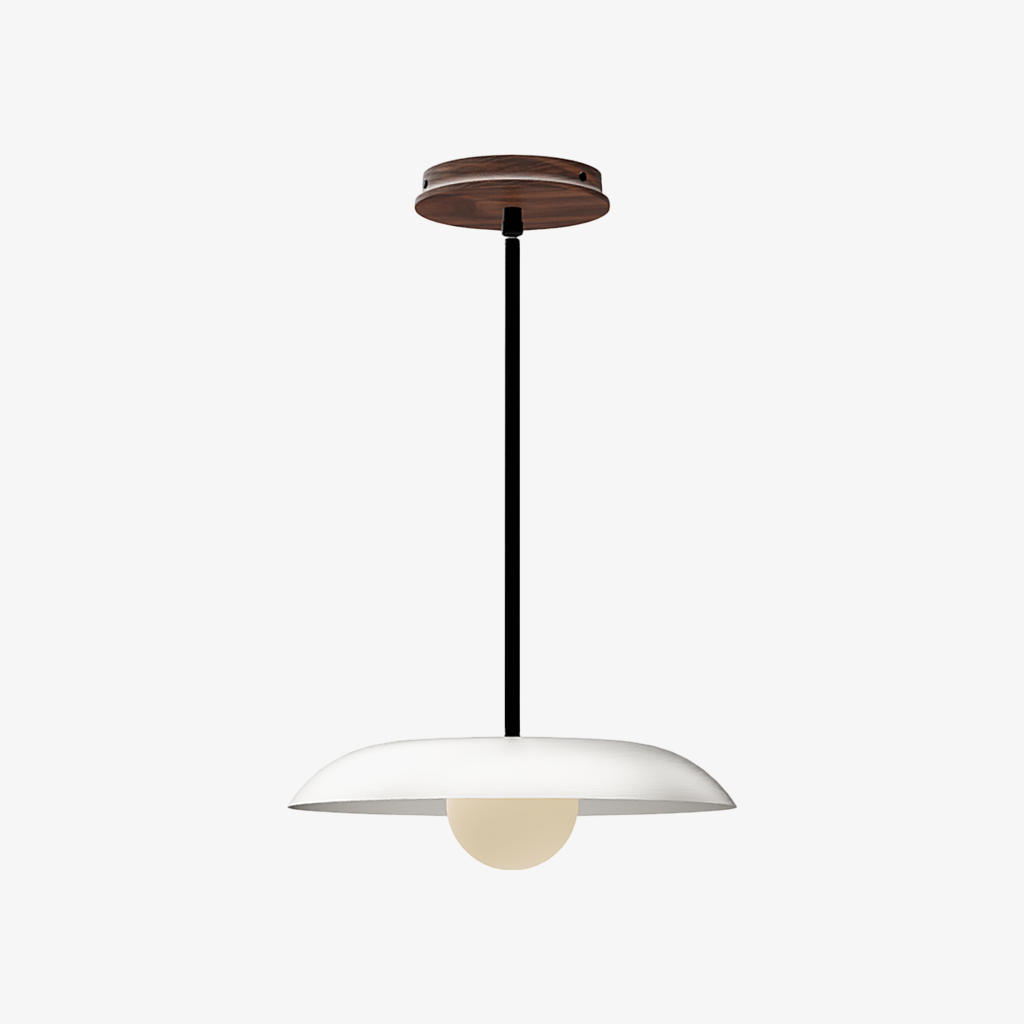 Eiralys Industrial Metal Dome Pendant Light