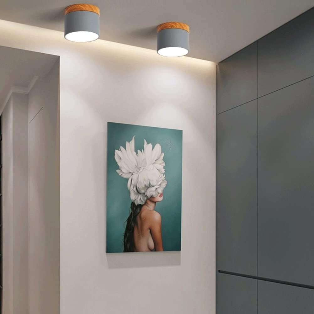 Cyrion Nordic Cylinder LED Flush Mount Ceiling Light