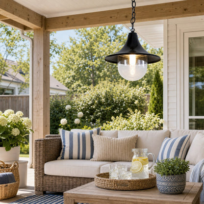 Marshall Farmhouse Outdoor Patio Porch Black Pendant Light