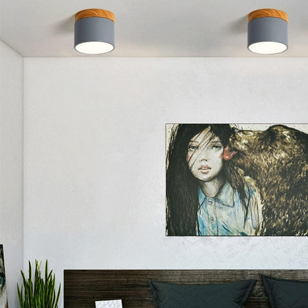 Cyrion Nordic Cylinder LED Flush Mount Ceiling Light
