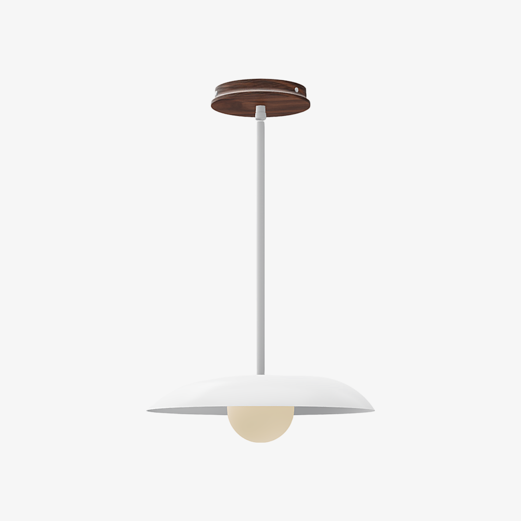 Eiralys Industrial Metal Dome Pendant Light