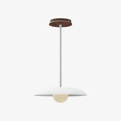 Eiralys Industrial Metal Dome Pendant Light