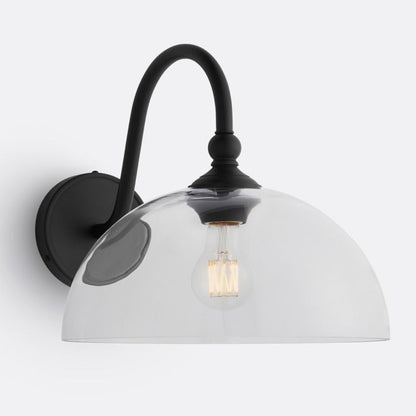 Cygnira Vintage Brass Glass Curved Neck Wall Light