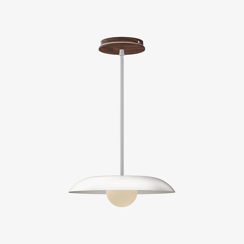Eiralys Industrial Metal Dome Pendant Light