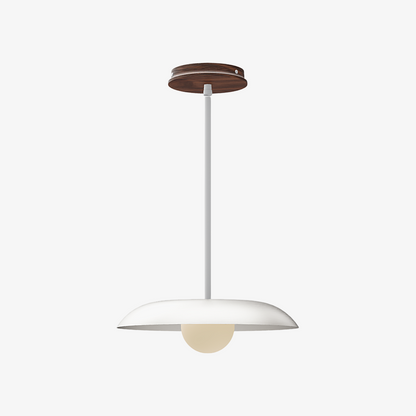 Eiralys Industrial Metal Dome Pendant Light