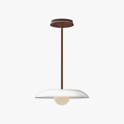 Eiralys Industrial Metal Dome Pendant Light