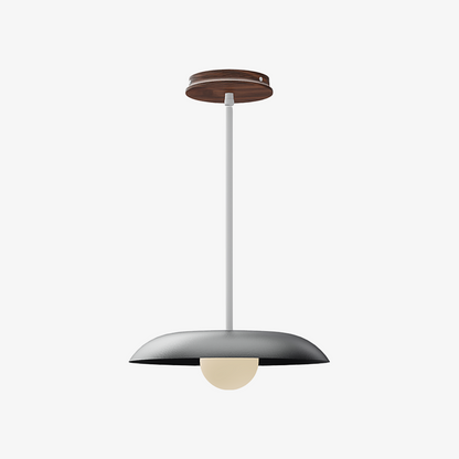 Eiralys Industrial Metal Dome Pendant Light