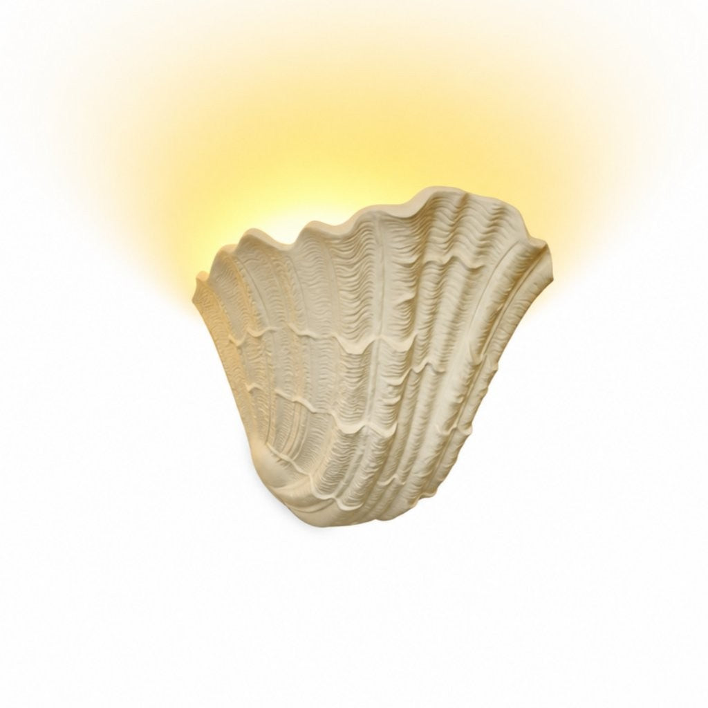 Layton French Coastal Shell Wall Sconce