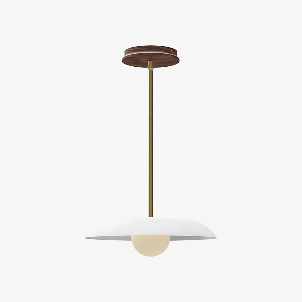 Eiralys Industrial Metal Dome Pendant Light