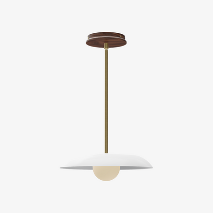 Eiralys Industrial Metal Dome Pendant Light