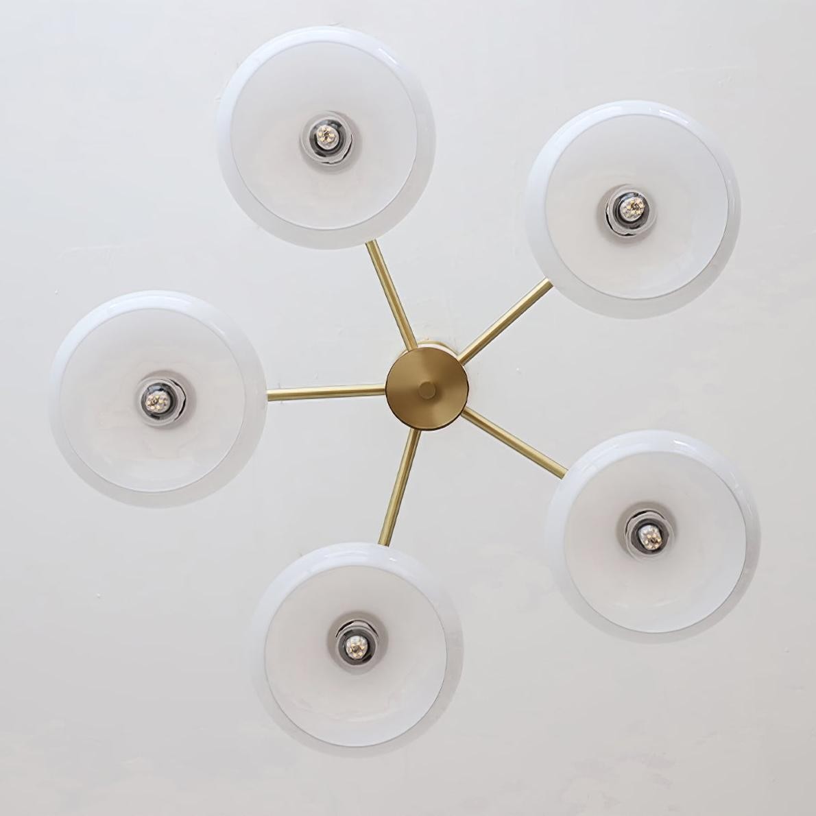Xanthea Elliptical Persimmon Milk Glass Chandelier