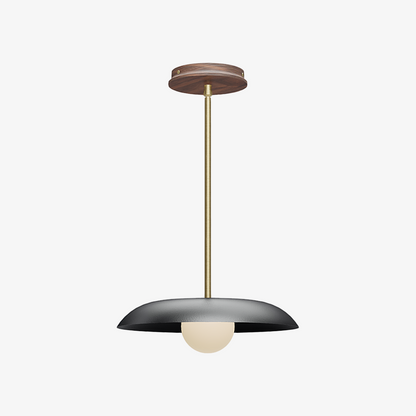 Eiralys Industrial Metal Dome Pendant Light